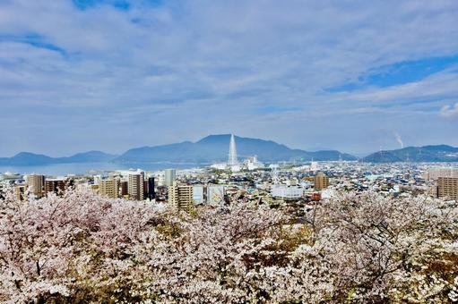 🌳 구다마쓰 공원 이미지 6